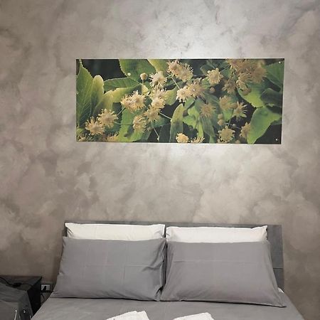 B&B Sulviale Ladispoli Luaran gambar