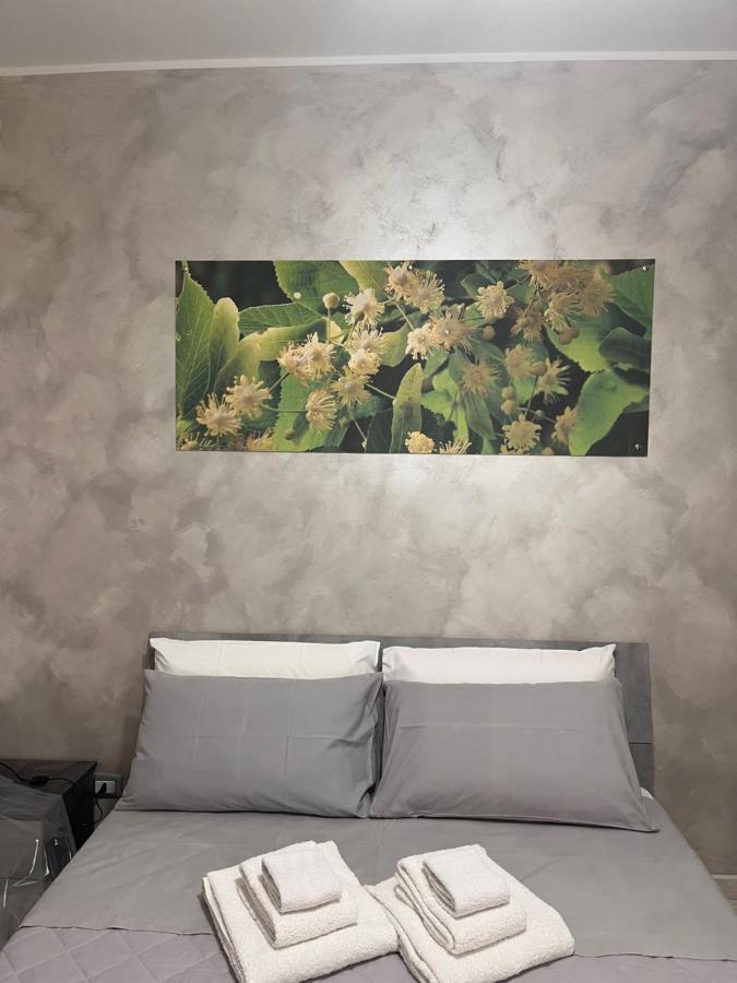 B&B Sulviale Ladispoli Luaran gambar